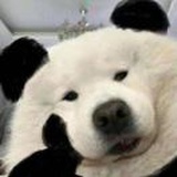 那又怎么样呢