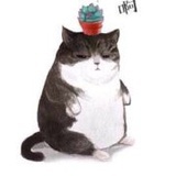豆友1969079547