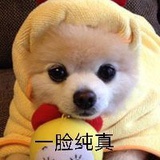丽妞836469847