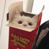 嘟啦嘟啦