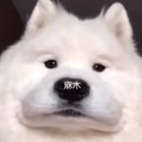 豆友mg5m5uxF64