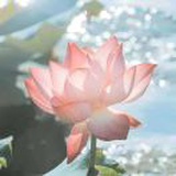 豆友7DC4wTALfA