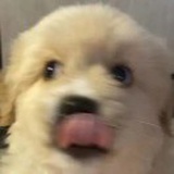 今天磕什么