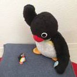 豆友niWbZKbuyk