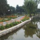 豆友E81ikgL974