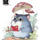 贝贝