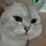 爱呦