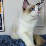 豆友9iuMwZU4ZE