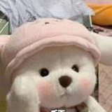 豆友GQvrHaqTa8
