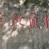 王李丹妮