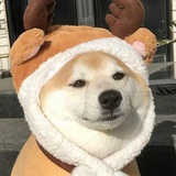 今天努力了嘛！
