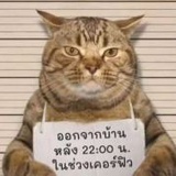茑