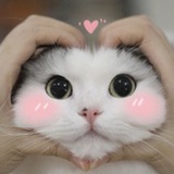 赵赵