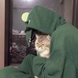 豆友J5auQNd9H4