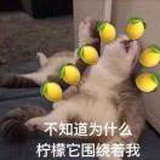 豆友w8_A7OLm5Q