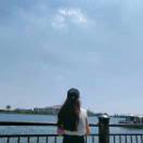 清欢渡
