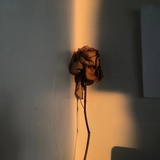 一雨方知秋去