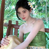 天狼绘梦者
