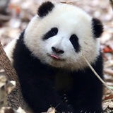 有用的家伙