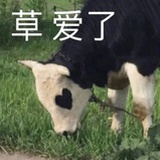 悟饭
