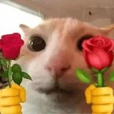早睡早起