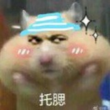 XXKuma