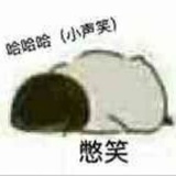 木小鱼