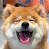 顶呱呱