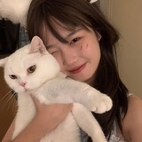 包菜酸奶