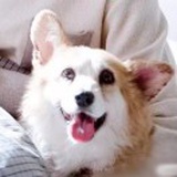 豆友1URGT5gLd8