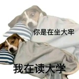 咪咪酱🍓