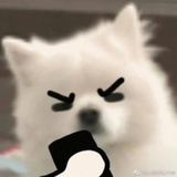 冷梦