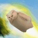 豆友KwgOchxf_M