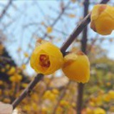 豆友没有编号