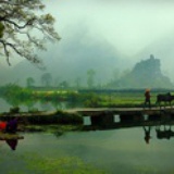 自由如风