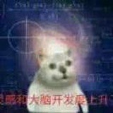 梁万如