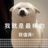 响亮的名号