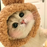 有点小任性
