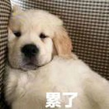 绝对不熬夜了