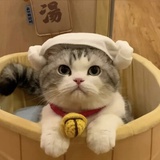 好多人啊