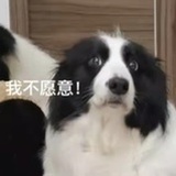 小王要健康