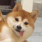 豆友vUqp0wooL0