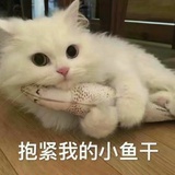 闲着也是闲着