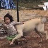 豆友UIaTQ17aoY