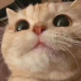 豆友6718972938
