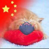 禁止随意许诺