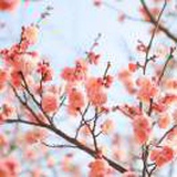 豆友Fpm0xf6qUc