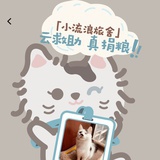 子房