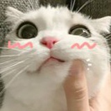 mono