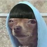 想不到昵称咯